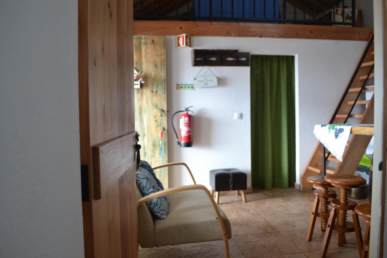 Casinha De Muda Da Feteira Villa Angra do Heroísmo Екстериор снимка